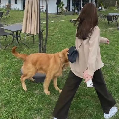 启航